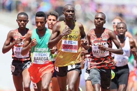 El ugandés Joshua Cheptegei durante el Mundial de Atletismo (Fuente: AFP)