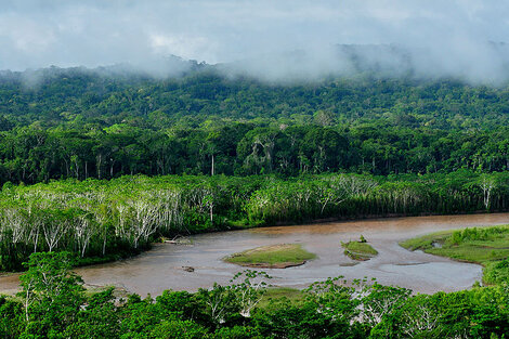 Organización Meteorológica Mundial advierte sobre impactos del cambio climático en América Latina 