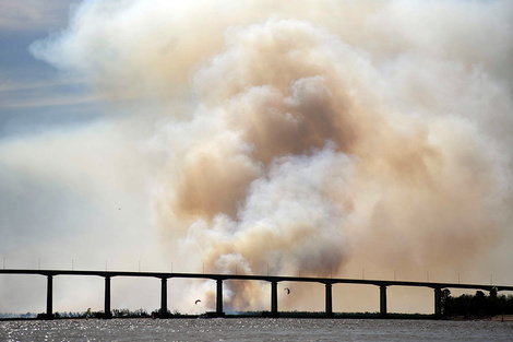 Los incendios siguen asolando a las islas entrerrianas.