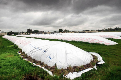 Algunas estimaciones indican que existen entre 13 mil y 18 mil millones de dólares que están acumulados en los campos sin vender.