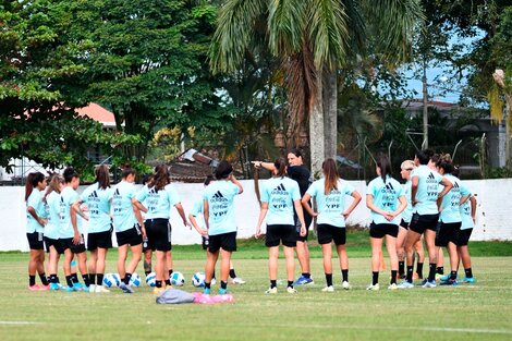 Argentina vs. Paraguay: a qué hora y dónde ver el partido de hoy de la Copa América femenina