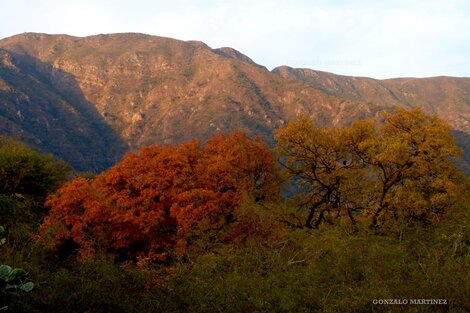 Piden que Catamarca pueda tener un parque o reserva nacional