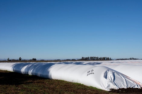 La expectativa que tiene "el campo" con Massa