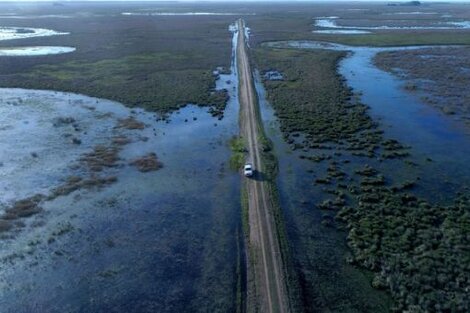 El Parque Nacional Iberá ya recuperó más del 80 % de la superficie que fue arrasada por el fuego