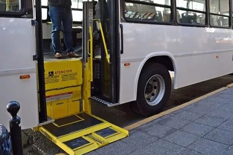 Crean un Observatorio Federal del transporte inclusivo, accesible y sostenible