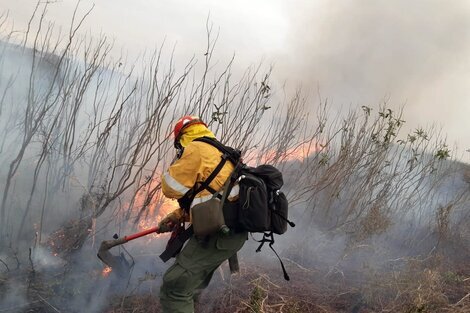 El ministerio de Ambiente alertó ante la presencia de importantes columnas de humo y envió helicópteros y brigadistas para sofocar las llamas en el Delta del Paraná. (Foto: Télam)