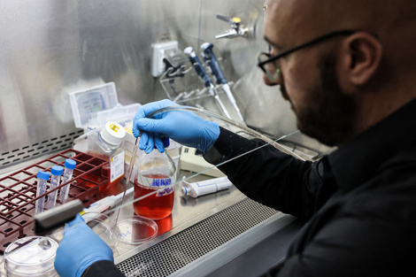 Jacob Hanna, especialista en genética molecular en el Instituto Científico Weizmann. (Fuente: AFP)