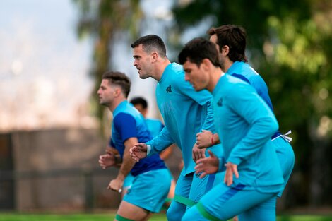 Los Pumas arrancan su ilusión en el Rugby Championship frente a Australia