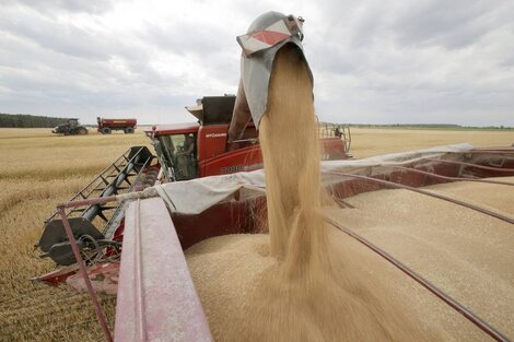 Menos exportaciones de cereales rusos