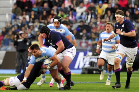 Los Pumas se enfrentan este sábado contra los Wallabies de Australia en el incio del Rugby Championship. (Télam)