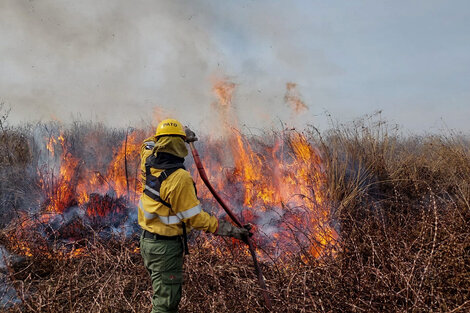 Incendios en el Delta: tienen "intencionalidad económica", dijo Cabandié