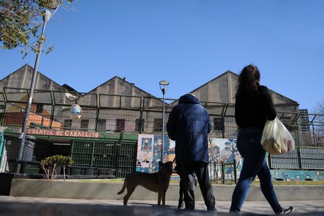 Caballito: una escuela y un jardín, en alerta por la llegada de asbesto