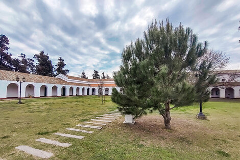 Una granizada que se produjo en 2012 causó la mayor destrucción del árbol histórico.  (Fuente: Gentileza Rubén Coniglio)