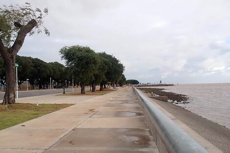 Costanera Norte: lanzan la licitación para "BA Playa" 