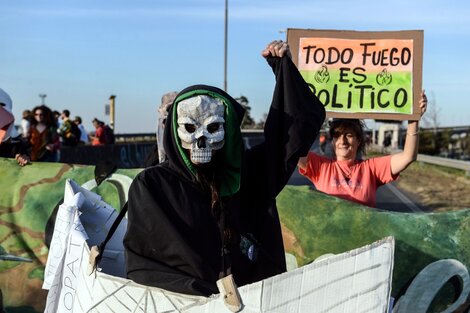 Incendios en el Delta: claves para entender el conflicto