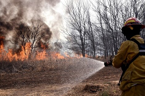 Afirman que los incendios en el Delta son un acto de "terrorismo ambiental"