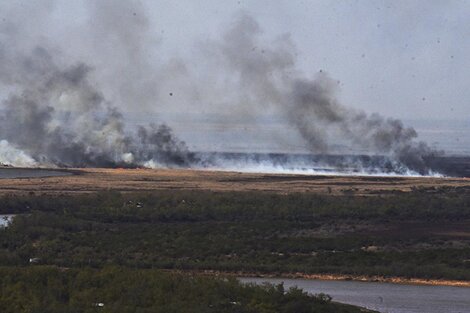 Denunciarán a los dueños de los campos donde se iniciaron los incendios del Delta