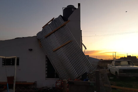 Un temporal de viento provocó voladuras de techos y caída de árboles y postes en Bahía Blanca  