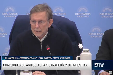 Bahillo en Diputados: "La Ley Agroindustrial ayudará al desarrollo de las economías regionales"