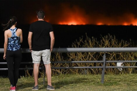 Quiénes están detrás de los incendios en el Delta