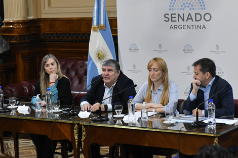 Causa Vialidad: el interbloque del FdT en el Senado denunció "una guerra no declarada de un sector de la Justicia"