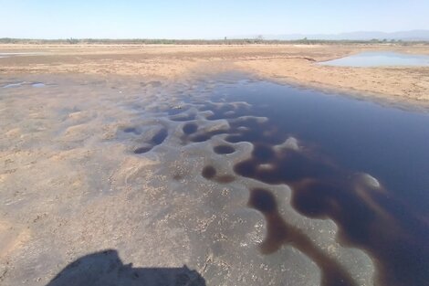 Preocupación por otra presunta contaminación del Pilcomayo