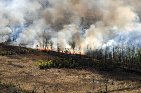 Arrestan a tres personas por los incendios en el Delta del Paraná