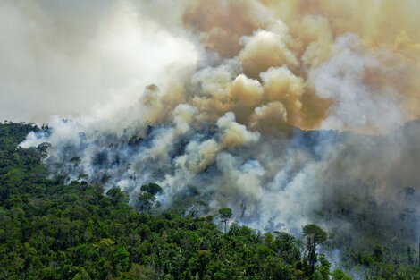 Brasil registró el peor día de incendios en la Amazonia de los últimos 15 años 