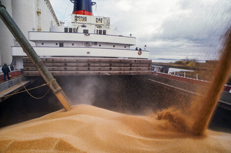 Los complejos oleaginoso y cerealero exportarán este año u$s 40.500 millones