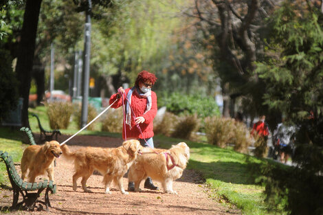 Clima en Buenos Aires: el pronóstico del tiempo para este domingo 4 de septiembre