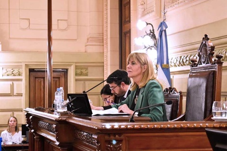 Rodenas, presidenta del Senado.