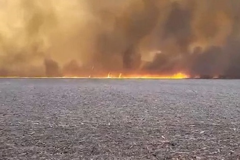 Bomberos combaten dos incendios forestales en Córdoba. Imagen: @minsegcba. 