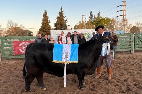 "Es bueno que el país empiece a mirar al ganado bovino riojano"