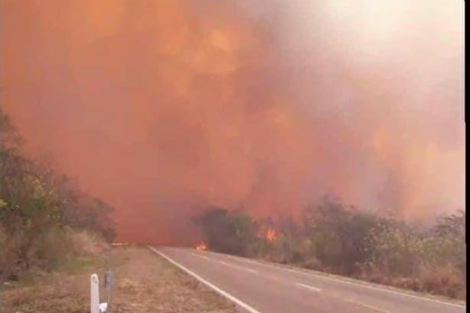 Incendios en el norte salteño y en Jujuy 