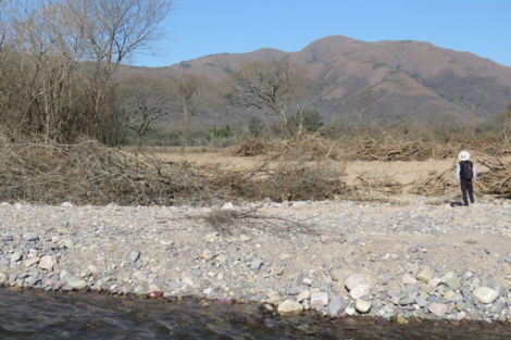 Los bosques de La Caldera cada vez más amenazados por los negocios inmobiliarios