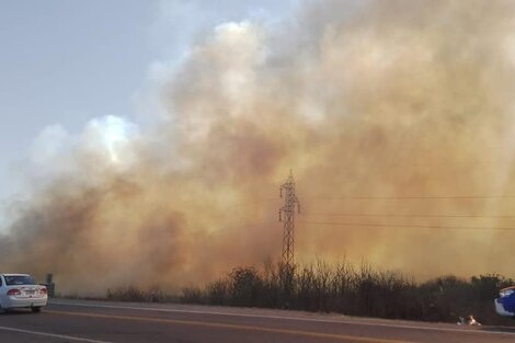 Preocupan los incendios forestales en Catamarca 