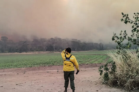 Concentran esfuerzos para que el fuego no llegue al Parque Nacional Calilegua