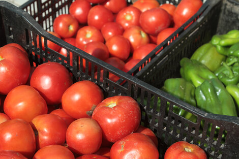 El mes pasado, las verduras subieron un promedio de 14 por ciento en el AMBA.