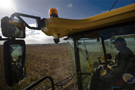 En los últimos 30 años desaparecieron 190 mil productores rurales.