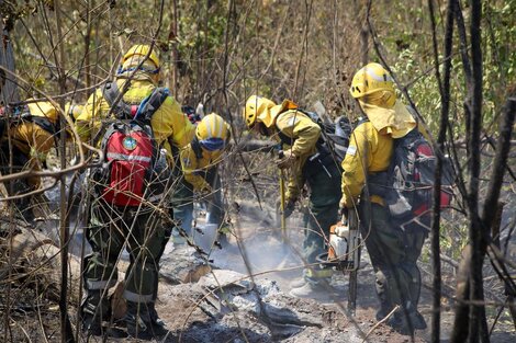 Continúan activos focos en la selva de Yungas, donde ya se quemaron más de 6.700 hectáreas  