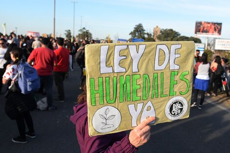 Cuenta regresiva para el tratamiento de la Ley de Humedales