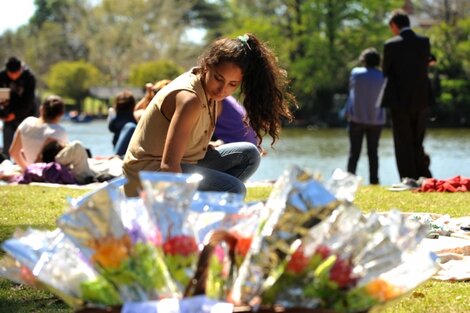 Día de la primavera 2022: 5 lugares para comprar flores y sus mejores  precios | Primavera en Buenos Aires | Página12