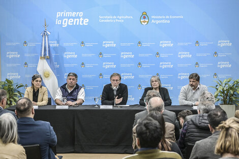 Juan José Bahillo, secretario de Agricultura y Ganadería, presentó la autorización comercial del evento biotecnológico.