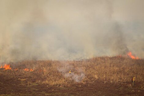 Rescatistas combatiendo el fuego en las zonas afectadas (Foto: Ministerio de Ambiente).