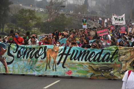 Humedales: comenzará el plenario de comisiones en Diputados