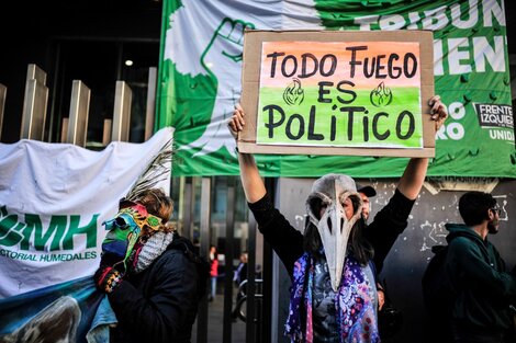 El reclamo en la calle por la ley de humedales