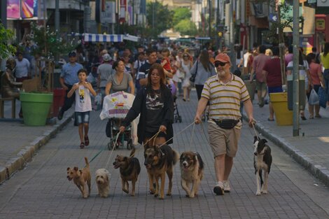 "Siete perros": un hombre solo y bien acompañado