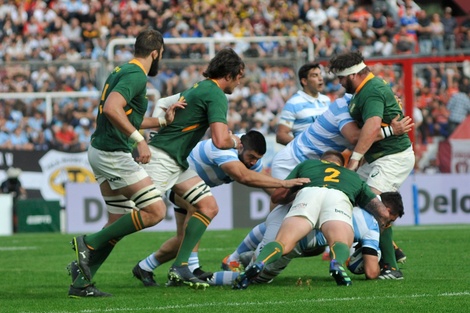 Rugby Championship: Los Pumas presentarán dos cambios