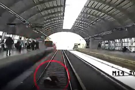 Impactante video: se descompensó, cayó a las vías, el tren le pasó por arriba y se salvó de milagro