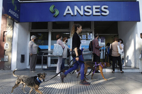 Anses: nuevo bono de $50.000, compatibilidad con AUH, beneficiarios y todo lo que hay que saber  